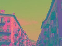 IMGP2701 edited (Medium)